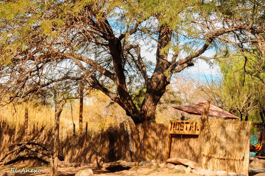 Hostal El Anexo San Pedro de Atacama Eksteriør bilde