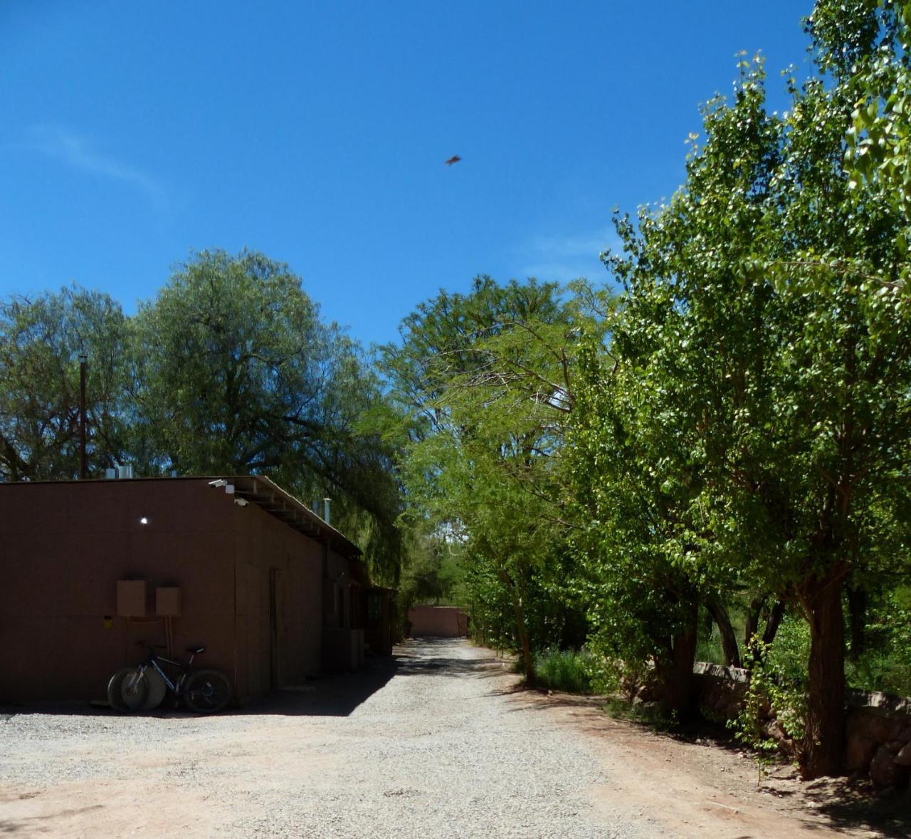 Hostal El Anexo San Pedro de Atacama Eksteriør bilde